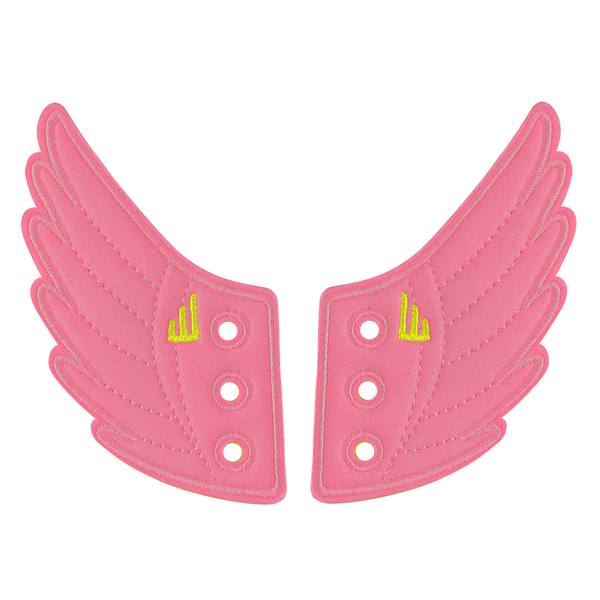 Awareness Pink Wings